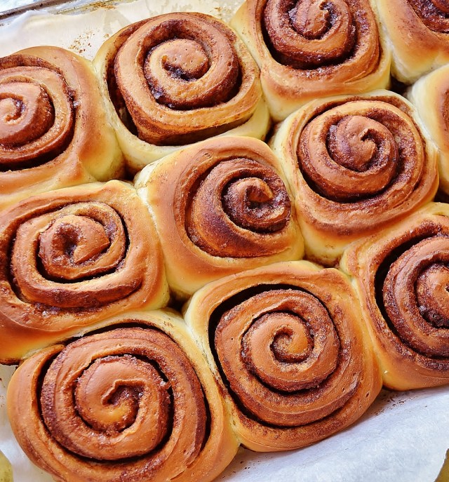 cinnamon rolls - out of the oevn