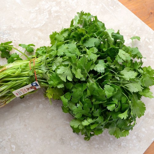 conservation de la coriandre - the best way to keep cilantro