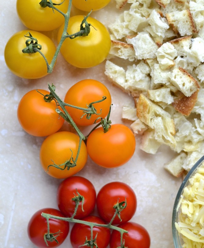 Gratin d'épinards et tomates cerises - Spinach and cherry tomato gratin