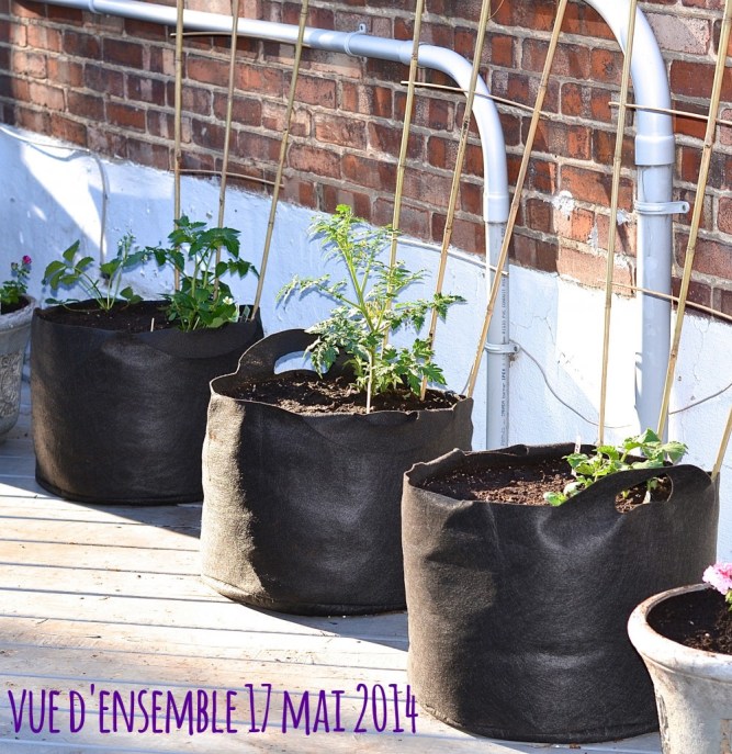 vued'ensemble mai 2014