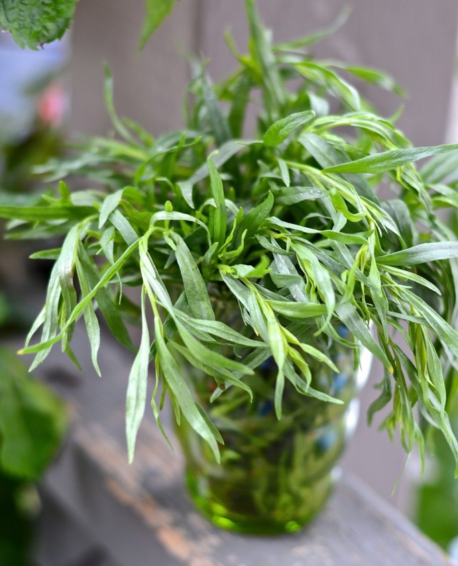 Poulet à l'Estragon de Jackie Kennedy