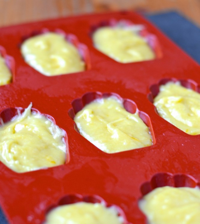 Madeleines au citron - Lemon madeleines