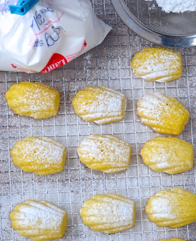 Madeleines au citron - Lemon madeleines